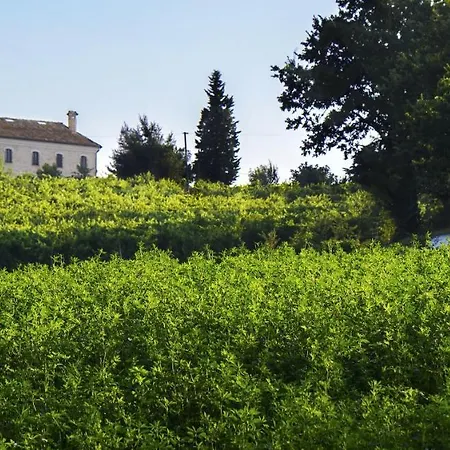 Apartment One Bedroom Appartement With Shared Pool And Wifi At Montecarotto