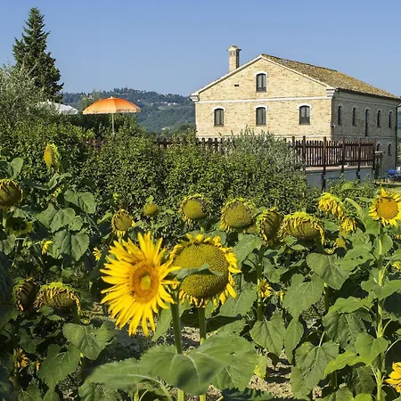 One Bedroom Appartement With Shared Pool And Wifi At Montecarotto Montecarotto