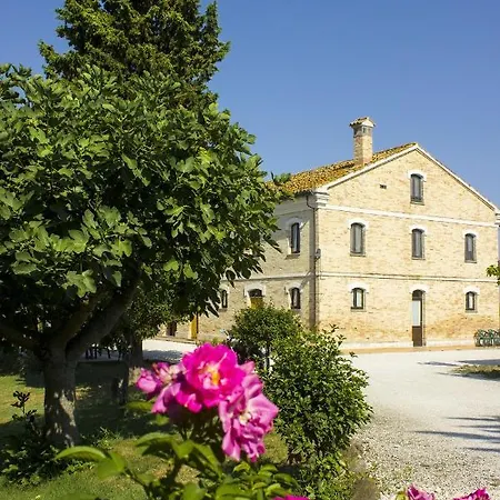 Apartment One Bedroom Appartement With Shared Pool And Wifi At Montecarotto